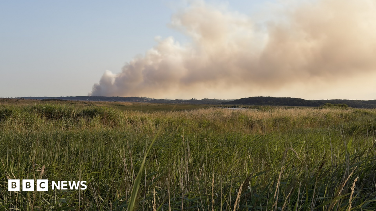 Crews tackle large fire on Dunwich Heath in Suffolk