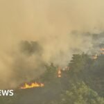 Watch: Smoke fills the sky from Dunwich Heath fire