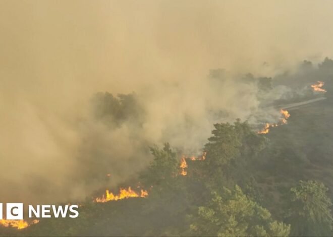 Watch: Smoke fills the sky from Dunwich Heath fire