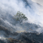 Tintwistle Moor fire burning one month on is ‘the size of a small town’