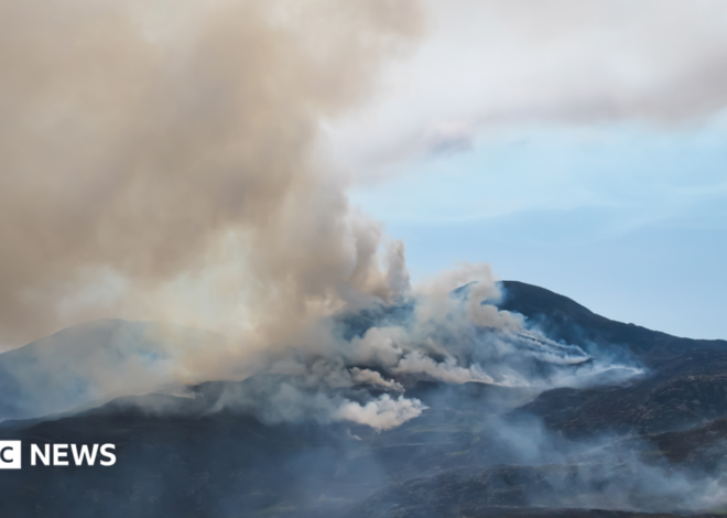 Rhinogydd wildfire spotted from space as helicopter brought in to tackle blaze