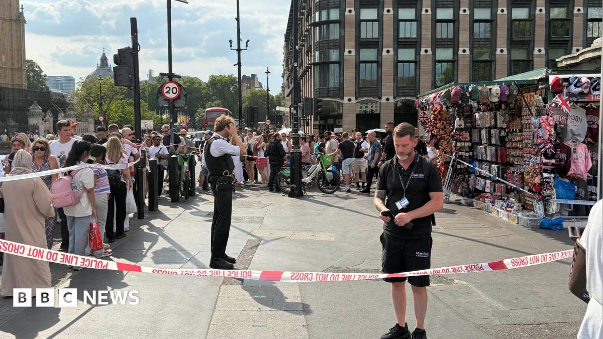 Met Police officers hurt after boat strikes Westminster Bridge