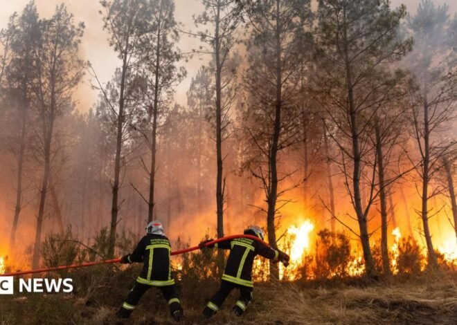 France and Spain wildfires: Witnesses describe ‘wall of flames’, fear and stress
