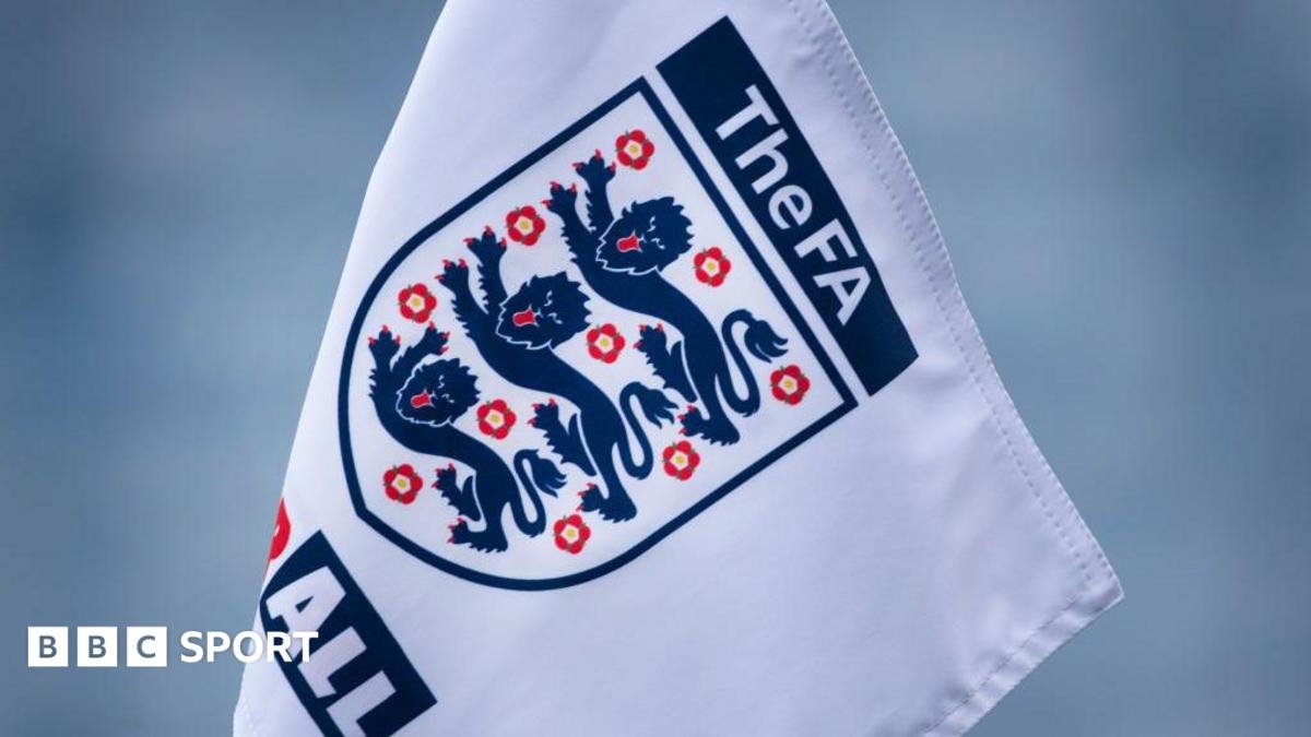Minimum 10-game ban for players found guilty of discrimination – FA