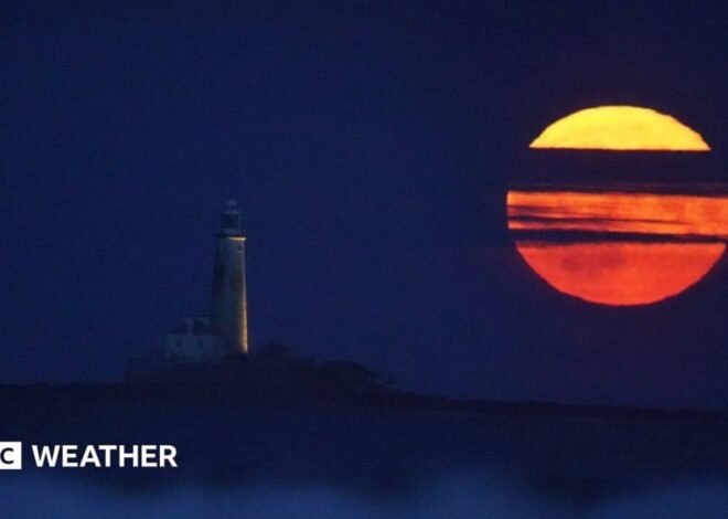July full Moon: How and when to see the 2026 Buck Moon