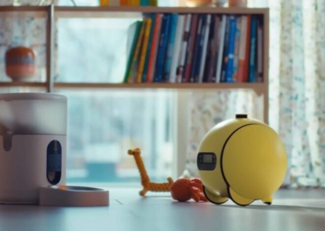 Remember Samsung’s Ballie home robot? It may finally be inching closer to reality