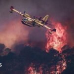 Devastating European wildfires in maps – and how they're being tackled