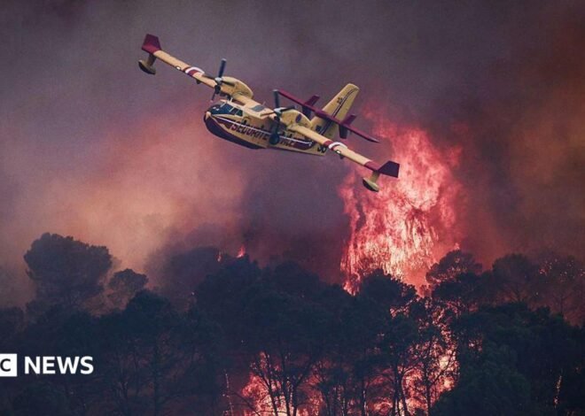 Devastating European wildfires in maps – and how they're being tackled