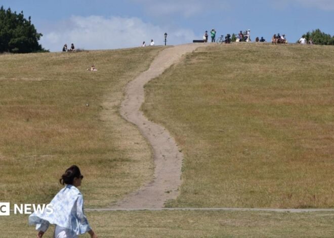 UK on track for record heat-related deaths this year, UKHSA estimates