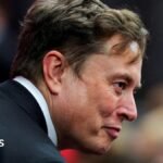 Musk takes ‘crusade’ to Europe with Armie Hammer film