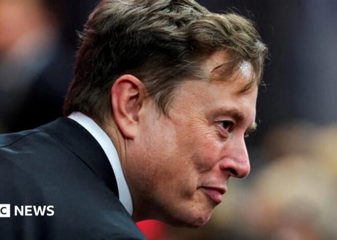 Musk takes ‘crusade’ to Europe with Armie Hammer film