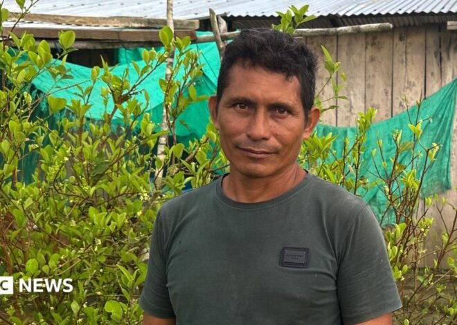 This farmer wanted to quit the cocaine industry – he couldn’t