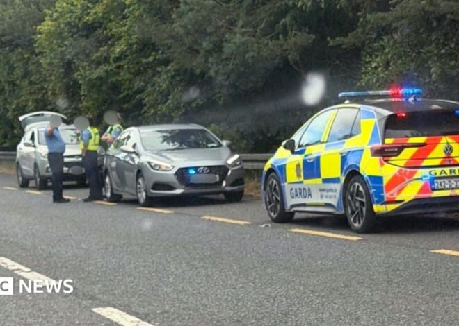 County Monaghan bomb: Law student charged over device in car