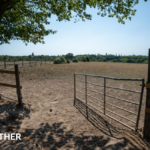 UK weather: Drought may worsen before improving as little rain in sight