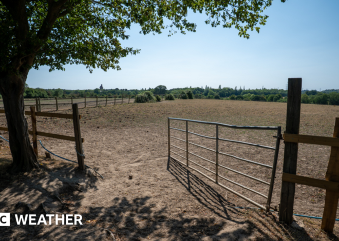 UK weather: Drought may worsen before improving as little rain in sight