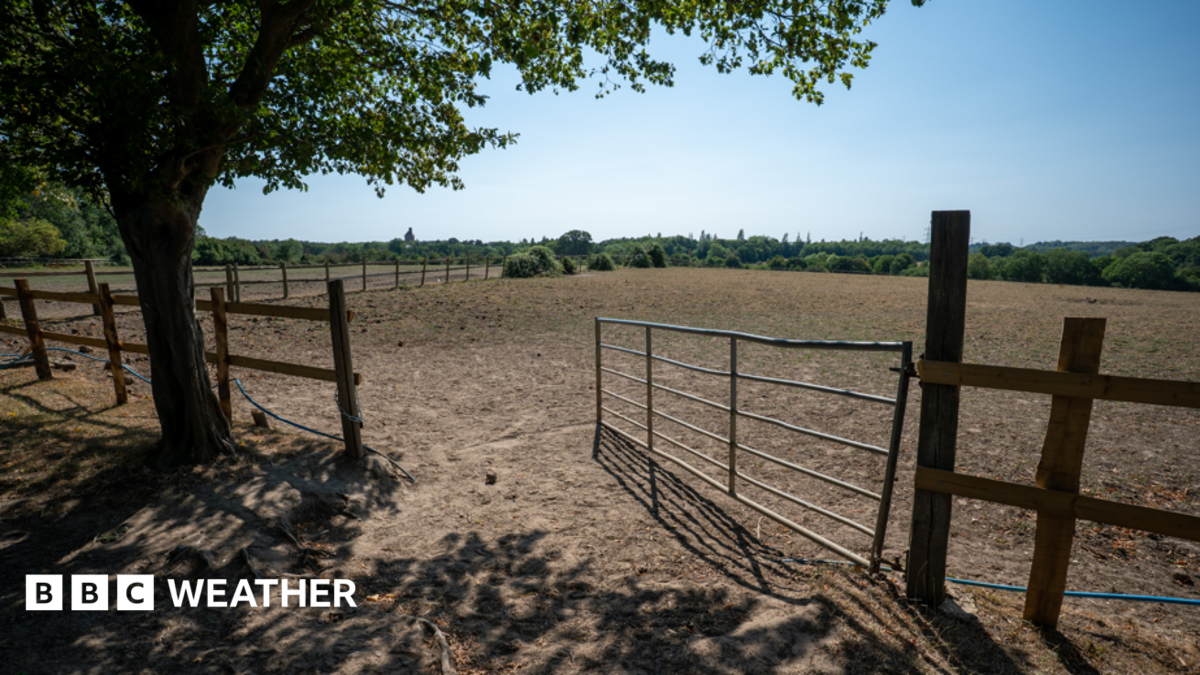 UK weather: Drought may worsen before improving as little rain in sight
