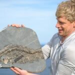 Fossil hunter discovers rare ‘sea dragon’ at Lavernock Point