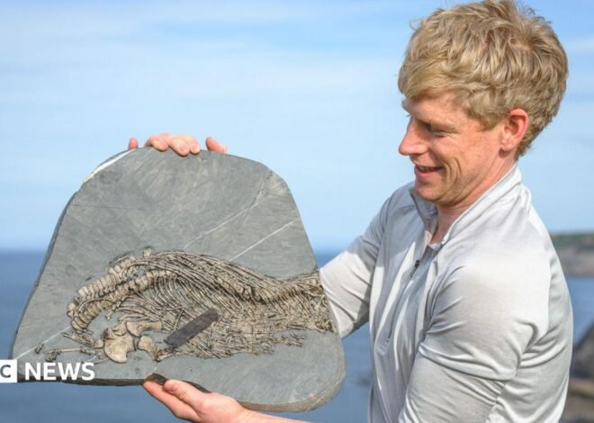 Fossil hunter discovers rare ‘sea dragon’ at Lavernock Point