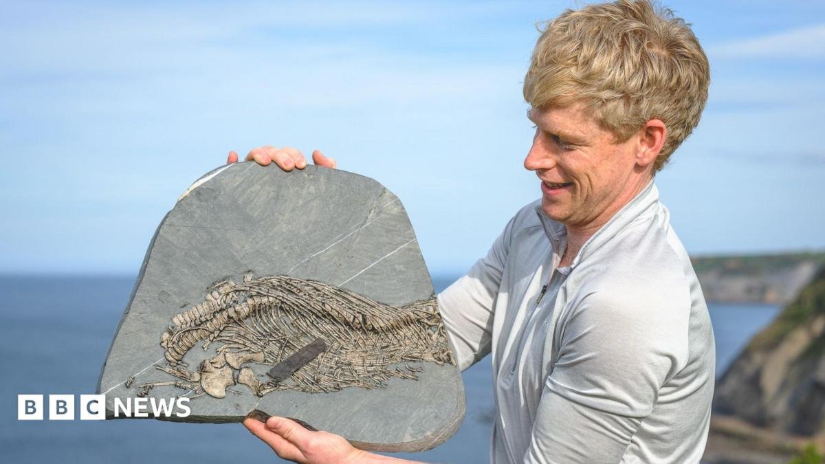 Fossil hunter discovers rare ‘sea dragon’ at Lavernock Point