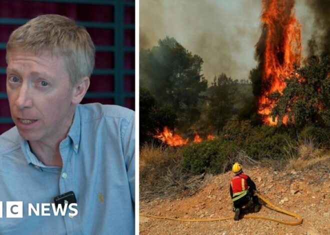 Wildfires: What you need to know for travel to France or Spain