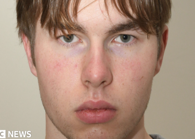 Teenage Norwegian ‘hitman’ guilty of UK murder plot