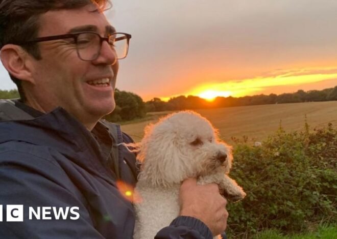 My dog Axel ‘wouldn’t get on’ with Larry the cat, says Burnham