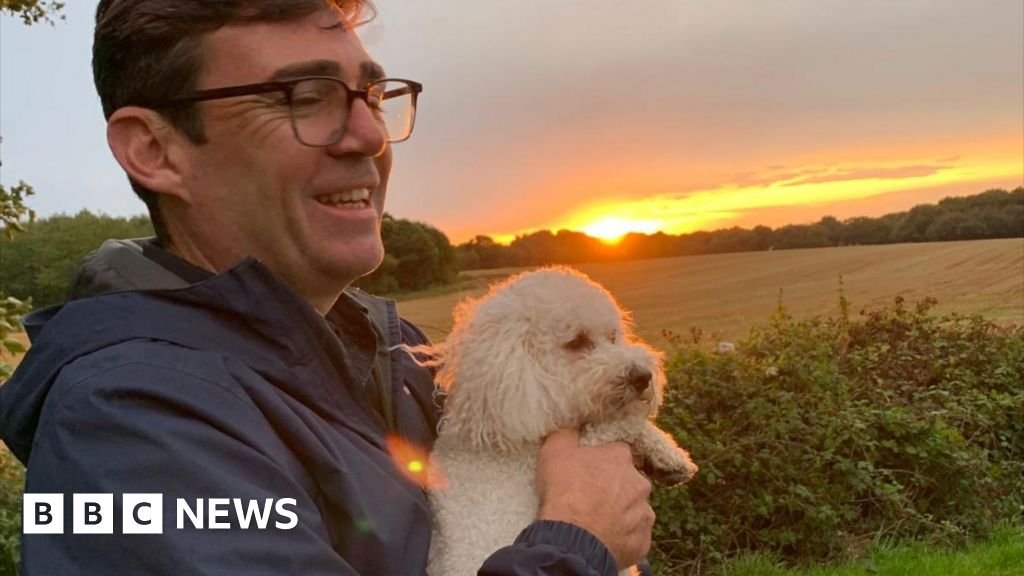 My dog Axel ‘wouldn’t get on’ with Larry the cat, says Burnham