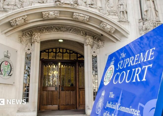 Palestine Action ban to be reviewed by Supreme Court