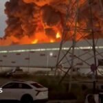Wildberries: Russia’s businesses under strain from Ukraine’s attacks on retail warehouses