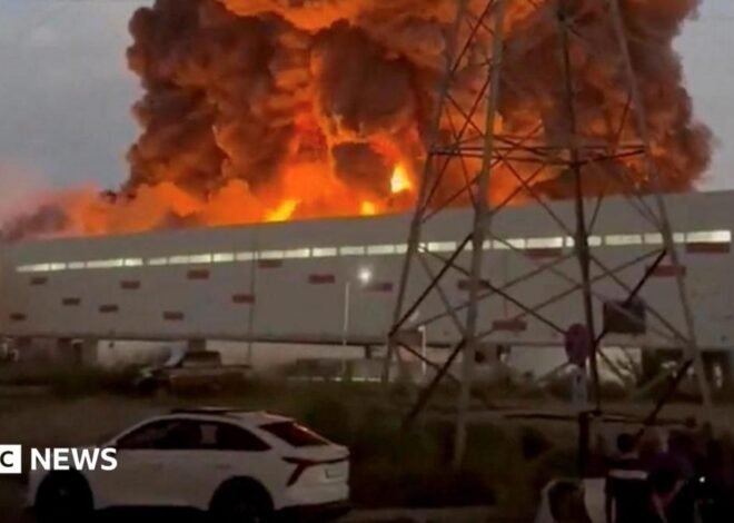 Wildberries: Russia’s businesses under strain from Ukraine’s attacks on retail warehouses