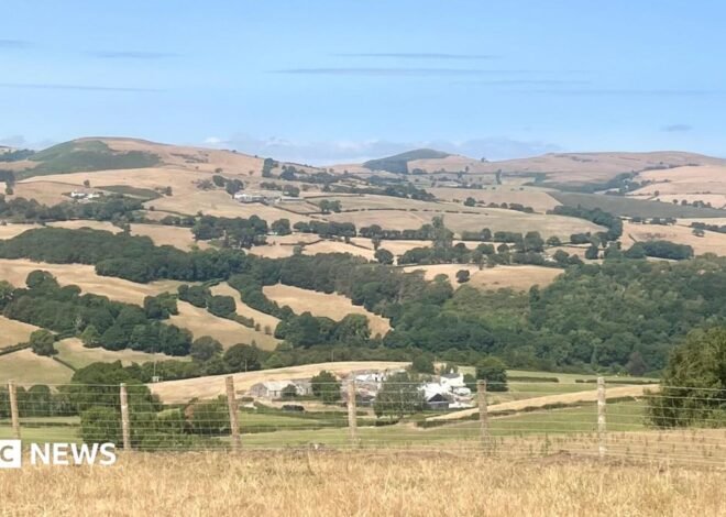 Wildfires and record dry conditions triggers drought in parts of Wales