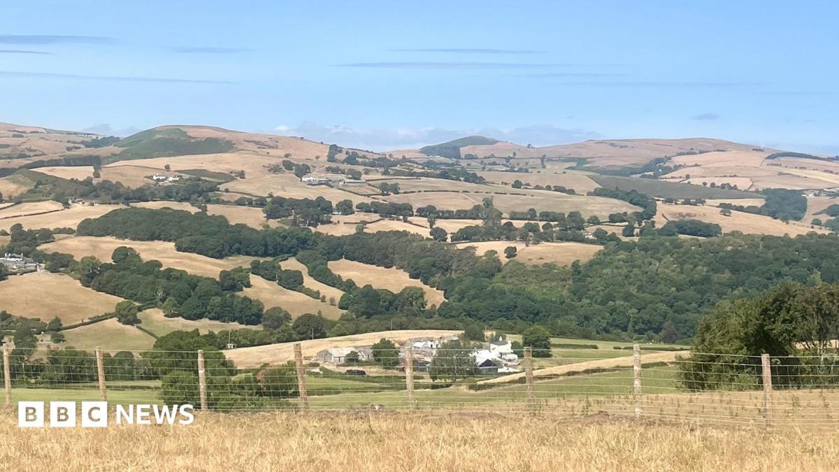 Wildfires and record dry conditions triggers drought in parts of Wales