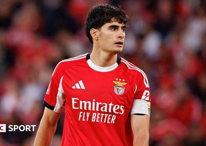 Bournemouth transfers: Benfica accept £26m offer for Antonio Silva