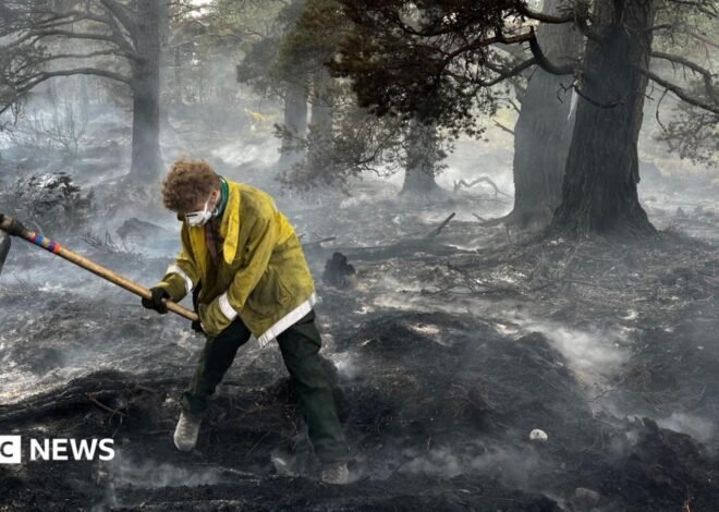 ‘Apocalyptic’ damage as Cairngorms wildfire burns for two weeks