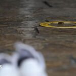 Thai school shooting: Teen learnt how to use guns via social media