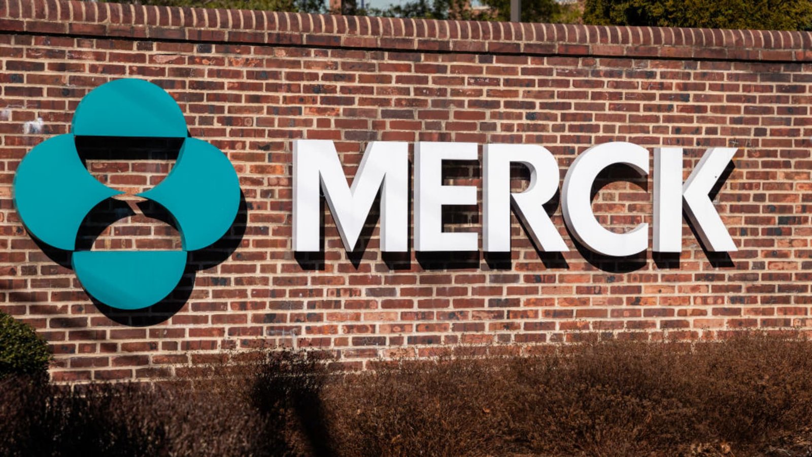 Merck (MRK) earnings Q2 2026