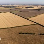 Drought could cause shortage of certain foods, head of National Farmers Union warns