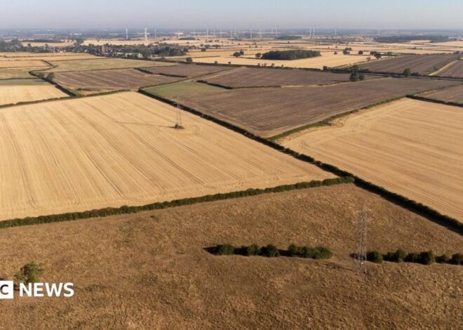Drought could cause shortage of certain foods, head of National Farmers Union warns