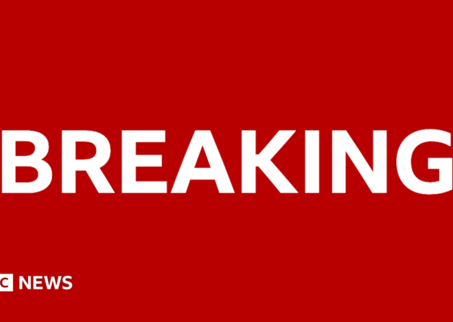 Ex neo-Nazi activist withdraws as Tory election candidate