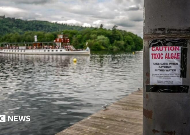 Majority of England’s rivers and lakes fail pollution review