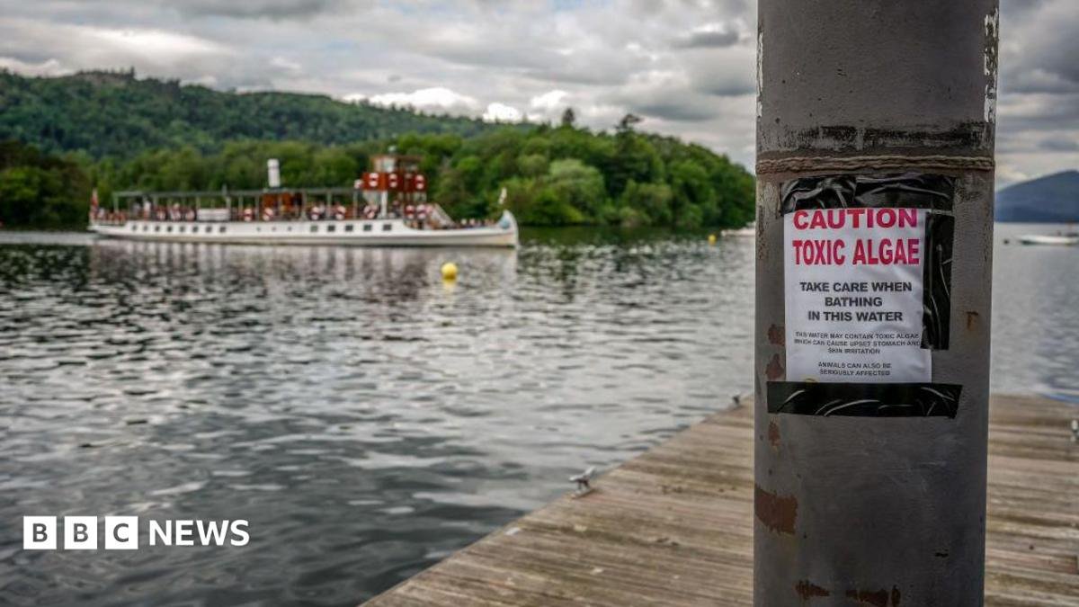 Majority of England’s rivers and lakes fail pollution review