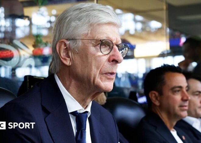 Fifa investment plan had to be scrapped – Arsene Wenger