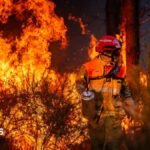 Hundreds arrested over French wildfires, but who is to blame?