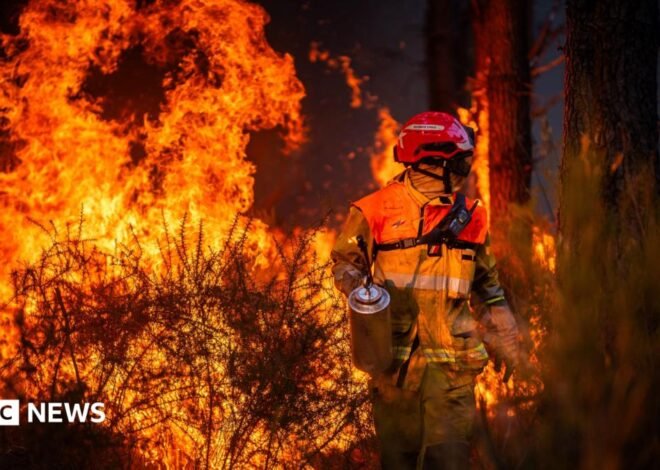 Hundreds arrested over French wildfires, but who is to blame?