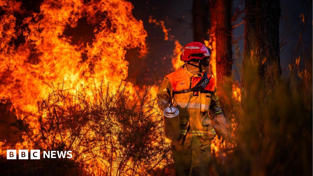 Hundreds arrested over French wildfires, but who is to blame?