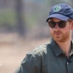 Prince Harry steps down from African Parks charity board