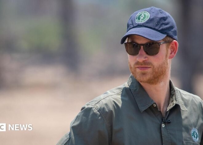 Prince Harry steps down from African Parks charity board