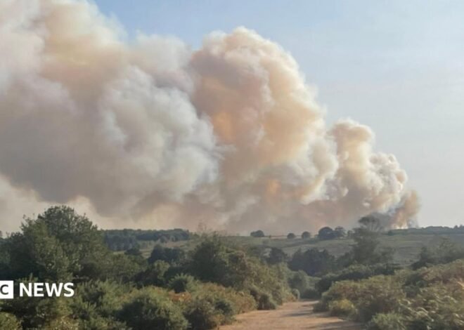 New Forest vehicle fire spreads to heathland as crews fight blaze