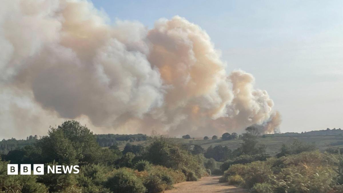 New Forest vehicle fire spreads to heathland as crews fight blaze