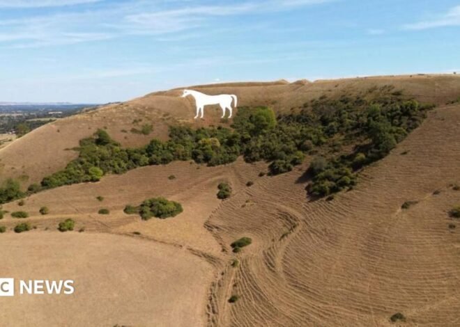 Drought expected to be declared in more parts of England